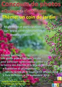 affiche concours 2013