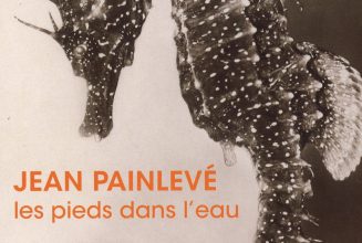 Sortie musée de Pont-Aven