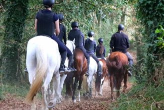Entre terre et mer, une aventure à vivre au galop ! 🐴🌊☀️