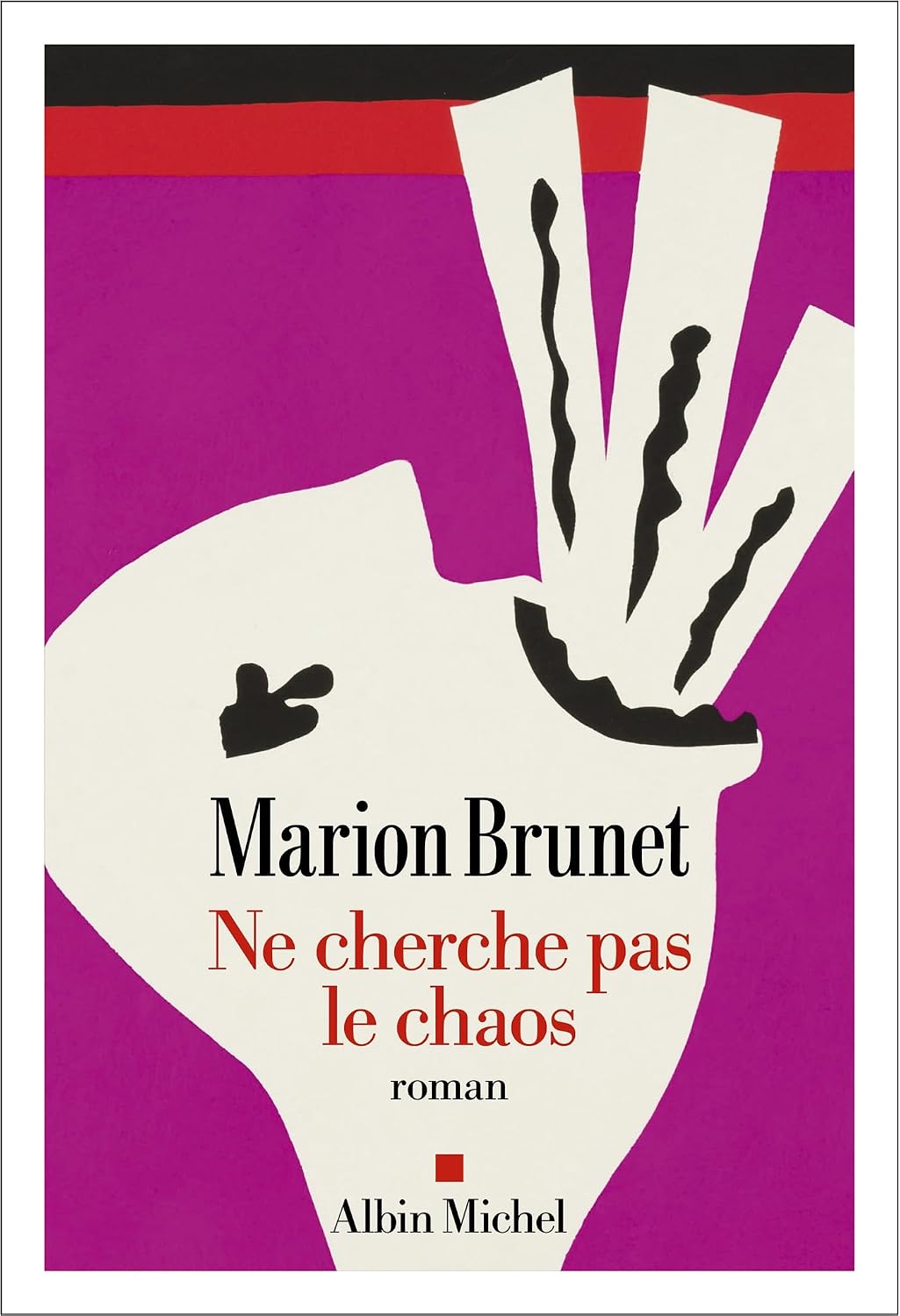 Aucune Image Disponible