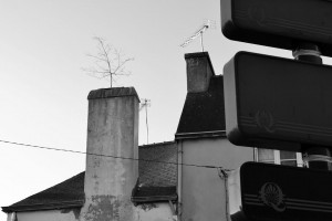 Catégorie adultes - Carole lefevre