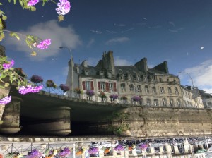 Catégorie adultes - Frederique Robin