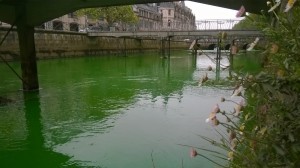 Catégorie adultes - Patrice Ferry