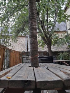 Catégorie adultes - René Bantegnie