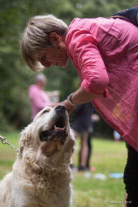 v.brod.avoldoiseau-1934