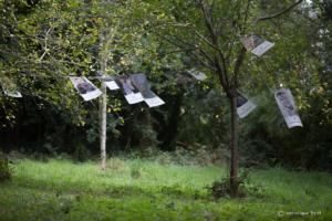 v.brod.avoldoiseau-1955