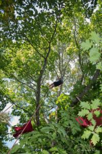 v.brod.avoldoiseau-1983 (1)