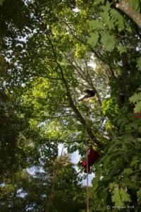 v.brod.avoldoiseau-1984 (1)