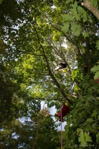 v.brod.avoldoiseau-1984