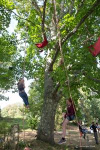 v.brod.avoldoiseau-1986