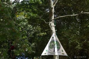 v.brod.avoldoiseau-1990 (1)