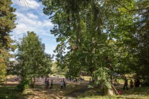 v.brod.avoldoiseau-1998