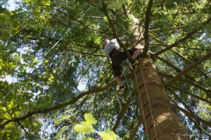 v.brod.avoldoiseau-2004 (1)