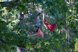 v.brod.avoldoiseau-2040 (1)