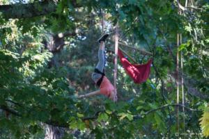 v.brod.avoldoiseau-2040