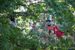 v.brod.avoldoiseau-2043