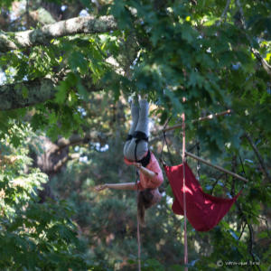 v.brod.avoldoiseau-2044 (1)