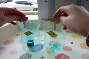 Atelier crÃ©atif : Mini jardiniÃ¨re