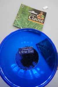 Atelier crÃ©atif : Mini jardiniÃ¨re