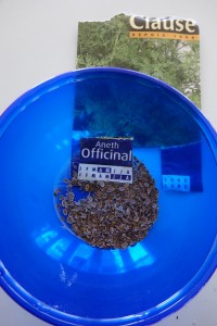 Atelier crÃ©atif : Mini jardiniÃ¨re