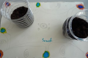 Atelier crÃ©atif : Mini jardiniÃ¨re