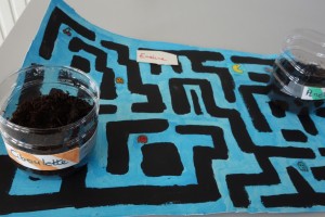 Atelier crÃ©atif : Mini jardiniÃ¨re