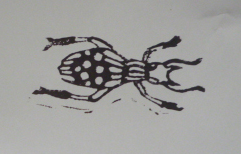 Centre de loisirs vacances de fÃ©vrier 2016