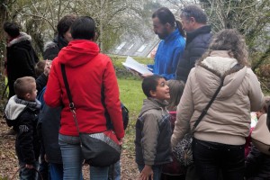 Chasse Ã  l'oeuf des Abeilles