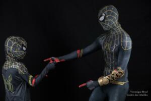 cosplay22.abeilles.V.Brod-8781 (1)