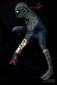 cosplay22.abeilles.V.Brod-8808