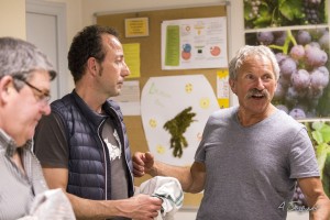 Soirée découverte de l'Irlande