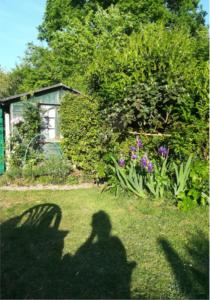 Armelle Tallec -"Mon clair obscur"