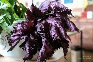 Beliard-serrecoudray-5234