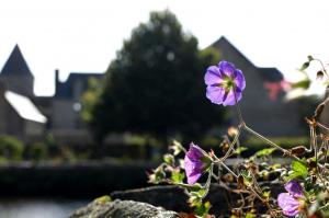 Catégorie adultesCarole Lefèvre