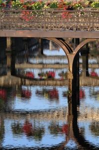  2ème prix Catégorie adulteFrançois THEBAUD