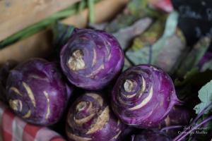 Glemarrecserrecoudray-02317