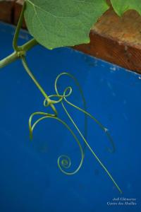 Glemarrecserrecoudray-02368