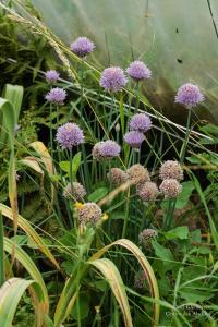 Glemarrecserrecoudray-02378