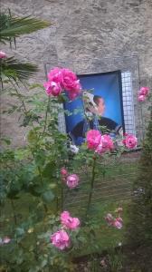 Catégorie adultesGwenn Pelliet