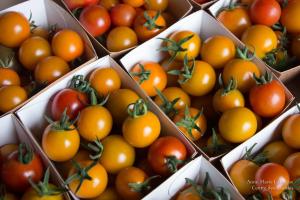 Lafargue-serrecoudray-9547-Copie