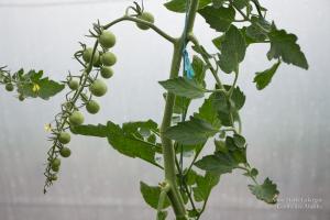 Lafargue-serrecoudray-9728