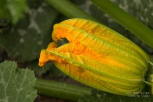 Lafargue-serrecoudray-9749