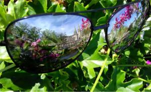 Mathieu Saint Jalmes -"Miroirs"