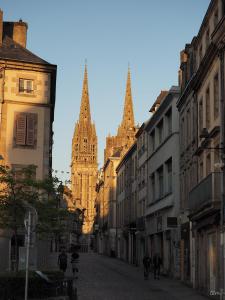 Catégorie adultesMarcel Quemener