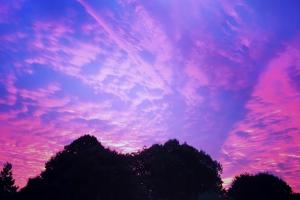 Catégorie adultesOlivier Lefèvre