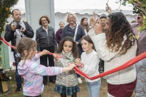 V.Brod .abeilles-2025-5166