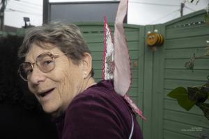 V.Brod .abeilles-2025-5174