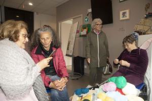 V.Brod .abeilles-2025-5184