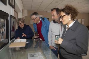 V.Brod .abeilles-2025-5188