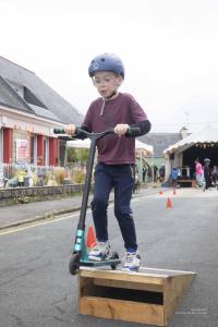 V.Brod .abeilles-2025-5195